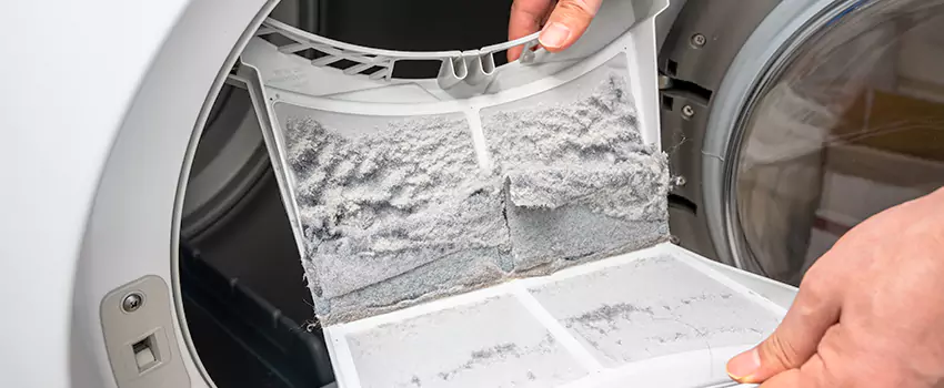 Best Dryer Lint Removal Company in Lennox, California